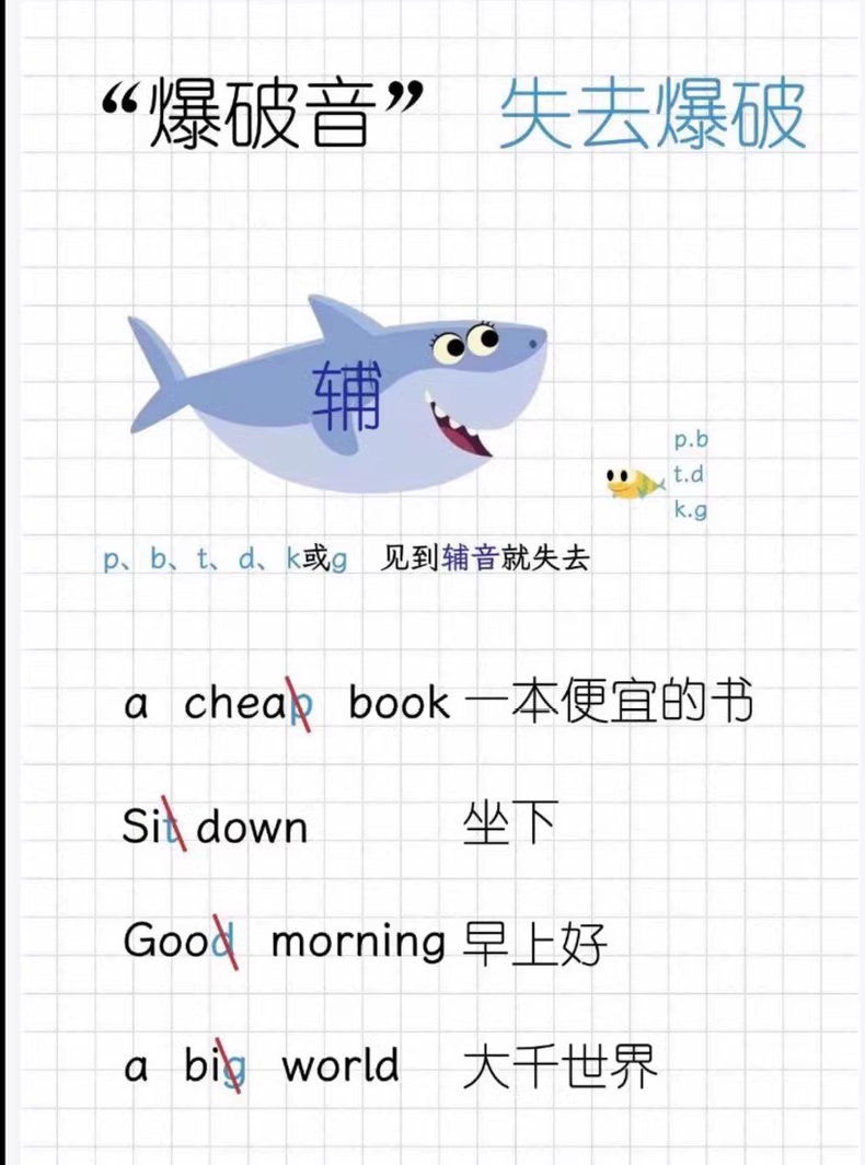 308033f0ebbbe49