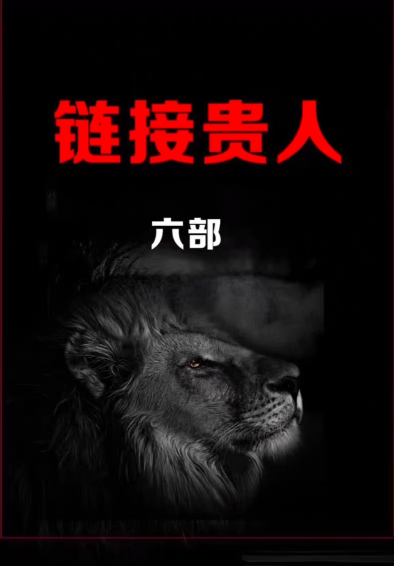 《链接贵人》1套6本