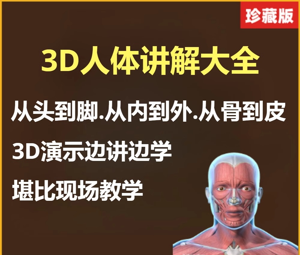 3D人体讲解骨骼动态演示中医视频全套合集零基础从入门到精通学习