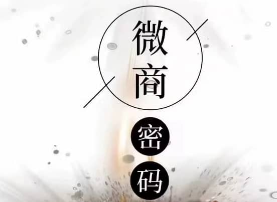 微商密码：成功秘诀不只是微商PDF