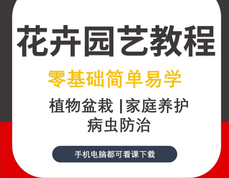 养花技巧速成课程