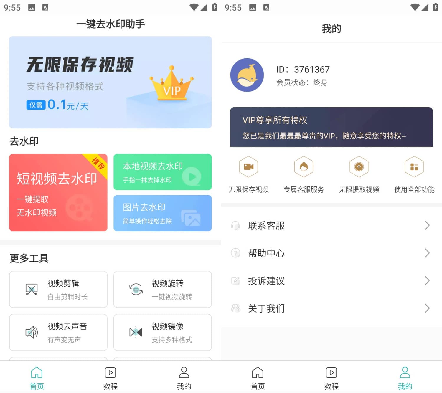 会员版一键去水印助手：功能强大，操作便捷