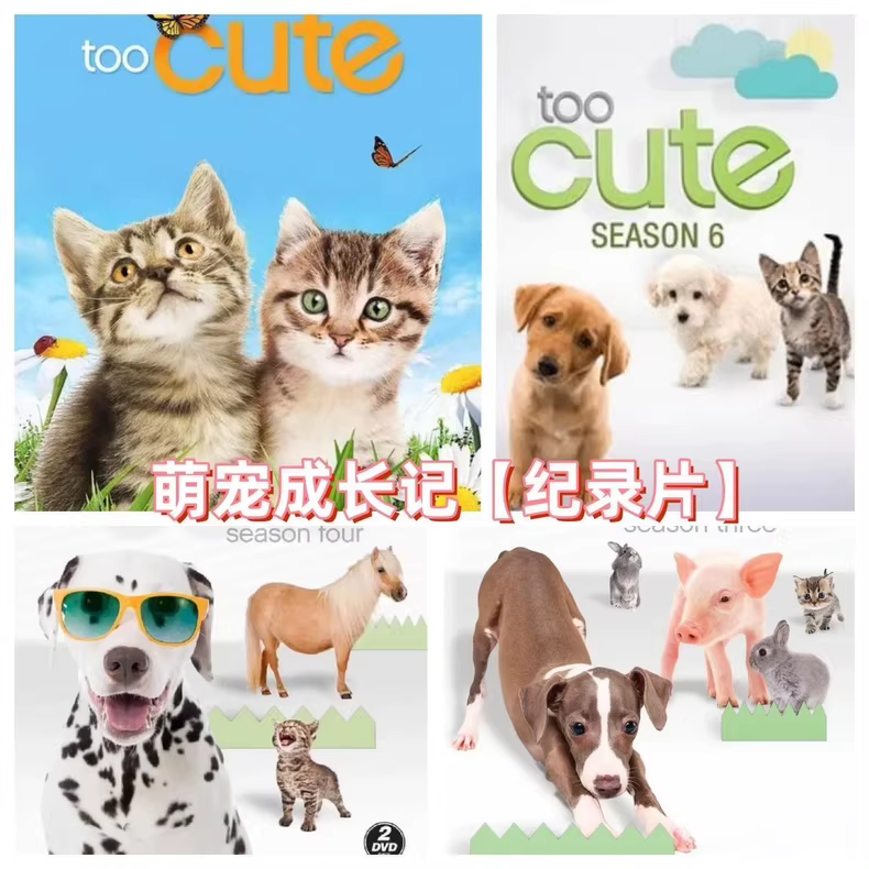 央视推荐《萌宠成长记》1-3季高清双语版​