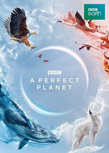 A Perfect Planet：自然奇迹纪录片